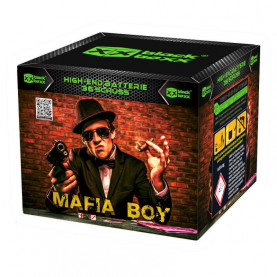 Mafia Boy