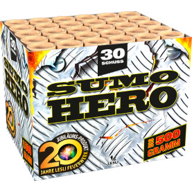 Sumo Hero